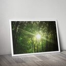 Golden Posters Foto Poster Wald (70x50cm)